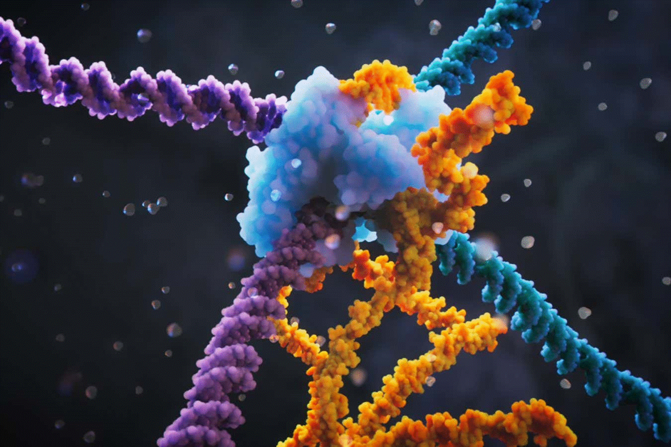 https://images.newscientist.com/wp-content/uploads/2024/06/26151945/SEI_210499519.jpg